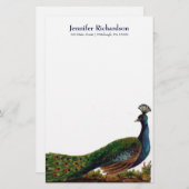 Aangepaste  pokerij briefpapier (Voorkant / Achterkant)