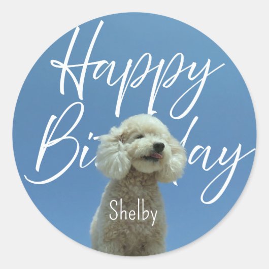 Aangepaste Poodle Gefeliciteerd Blauwe Lucht Retro Ronde Sticker (Voorkant)