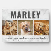 Aangepaste Pootafdrukken Huisdier Herdenking Foto  Fotoplaat (voorkant)