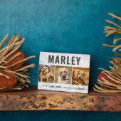 Aangepaste Pootafdrukken Huisdier Herdenking Foto  Fotoplaat (Zijkant)