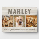 Aangepaste Pootafdrukken Huisdier Herdenking Fotoc Fotoplaat (voorkant)