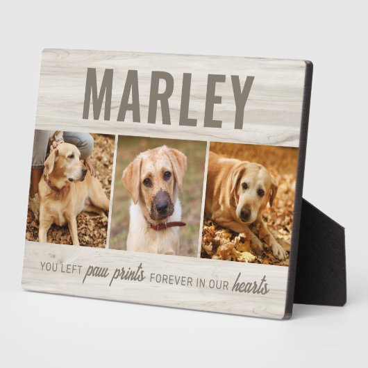 Aangepaste Pootafdrukken Huisdier Herdenking Fotoc Fotoplaat (Zijkant)