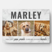 Aangepaste Pootafdrukken Huisdier Herdenking Fotoc Fotoplaat (voorkant)