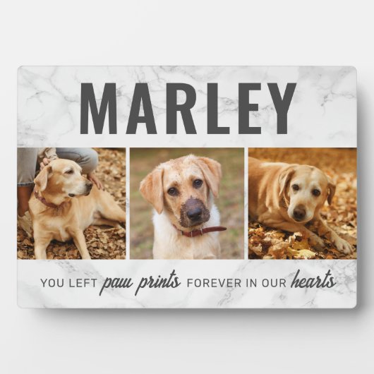 Aangepaste Pootafdrukken Huisdier Herdenking Fotoc Fotoplaat (voorkant)