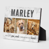 Aangepaste Pootafdrukken Huisdier Herdenking Fotoc Fotoplaat (Zijkant)