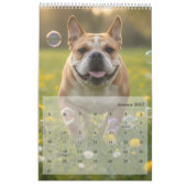 Aangepaste Poppy-hond 2026-kalender Kalender (Jan 2027)