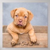 Aangepaste Poster foto afdrukken. (Voorkant)