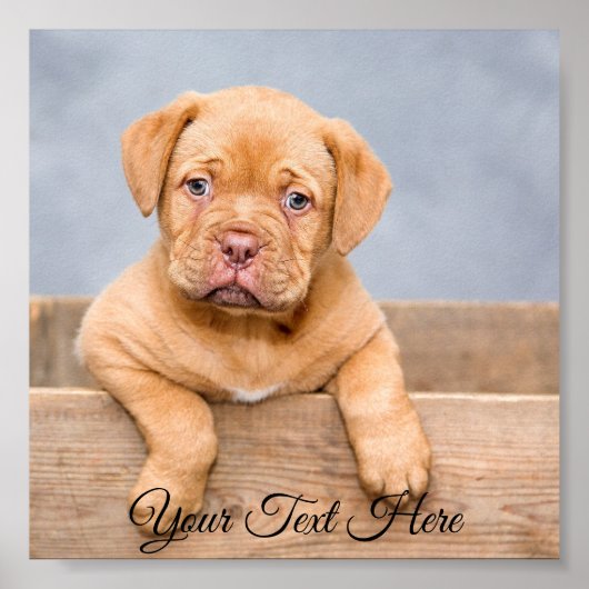 Aangepaste Poster foto afdrukken. (Voorkant)