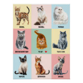Aangepaste Poster van Kattenras - Voeg Jouw Eigen (Voorkant)