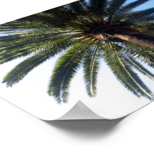 Aangepaste Poster voor beach Palm Tree afdrukken (Hoek)