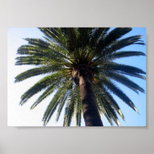 Aangepaste Poster voor beach Palm Tree afdrukken
