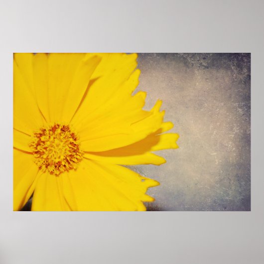 Aangepaste Posters met fijne Art Afdrukgele ventil (Voorkant)