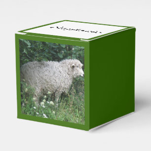Aangepaste promotievak voor schapen met een fijne bedankdoosjes