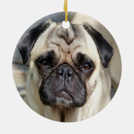 Aangepaste Pug Dog Foto Keramisch Ornament (Achterkant)