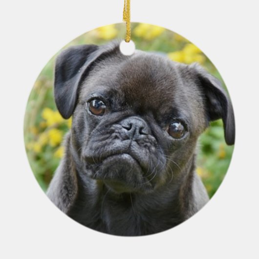 Aangepaste Pug Dog Foto Keramisch Ornament (Achterkant)