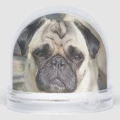 Aangepaste Pug Dog Foto Sneeuwbol (Achterkant)
