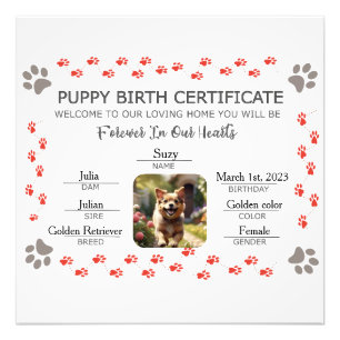 Aangepaste Puppy Geboortecertificaat Foto Afdruk