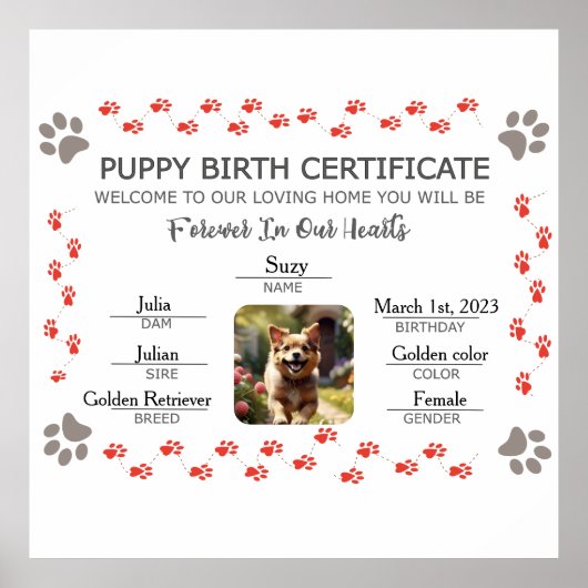 Aangepaste Puppy Geboortecertificaat Poster (Voorkant)