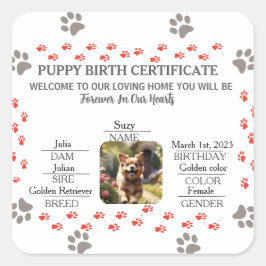 Aangepaste Puppy Geboortecertificaat Vierkante Sticker