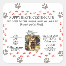 Aangepaste Puppy Geboortecertificaat Vierkante Sticker