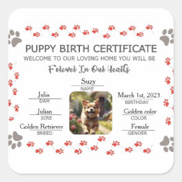 Aangepaste Puppy Geboortecertificaat Vierkante Sticker