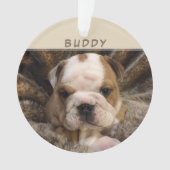 Aangepaste puppy Groot Dog 2 Fotovakantiehuisje Ornament (voorkant)