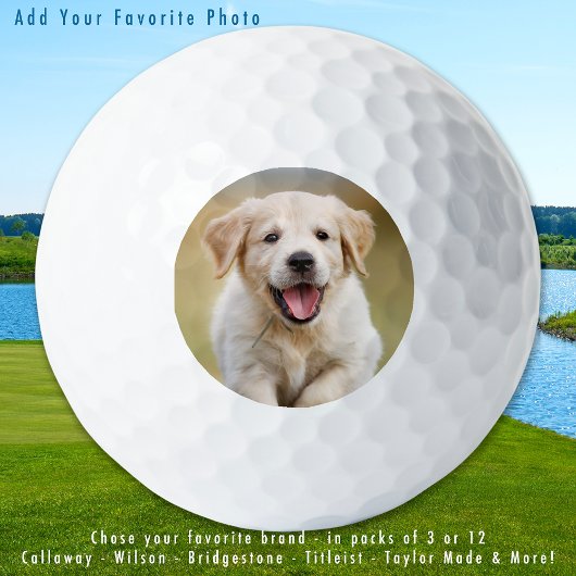 Aangepaste Puppy Hond Foto Huisdier Modern Geperso Golfballen