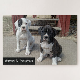 Aangepaste puzzel voor jokerpuzzels - Boxer-papave