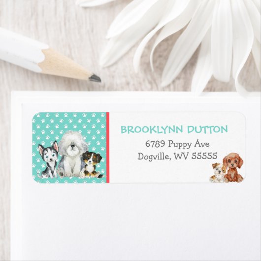 Aangepaste pydog etiket (Insitu)