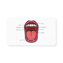 Aangepaste QR-spraaktherapeut