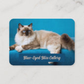 Aangepaste Ragdoll Cattery Visitekaartje (Voorkant)
