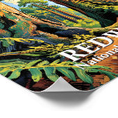 Aangepaste Redwoods National Park Californië Van G Poster (Hoek)