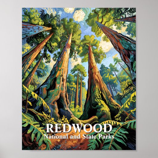 Aangepaste Redwoods National Park Californië Van G Poster (Voorkant)