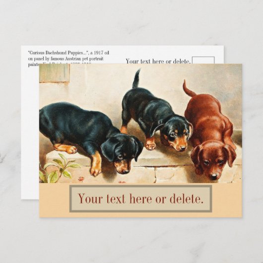 Aangepaste Retro Funny Cute Dachshund Puppies Briefkaart (Voorkant / Achterkant)