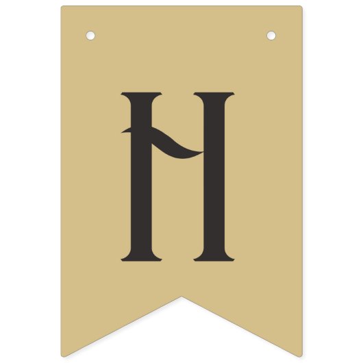 Aangepaste Retro Vinyl Record Bunting Flags Vlaggetjes (Tweede vlag)