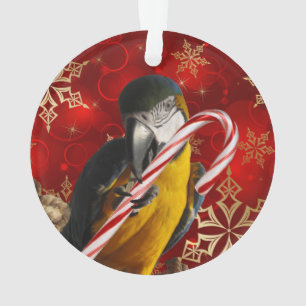 Aangepaste rotfoto's voor- en achterzijde ornament