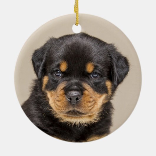 Aangepaste Rottweiler Puppy Dog Foto Keramisch Ornament (Achterkant)