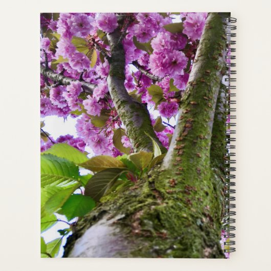 Aangepaste Roze Bloeiende Boom Kroon Foto - Planner (Achterkant)