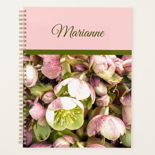  Aangepaste roze en olijfolie Hellebore Planner (Voorkant)