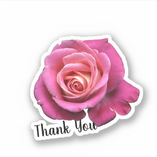 Aangepaste roze roze roze sticker (Voorkant)