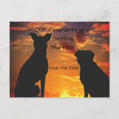 Aangepaste Save the Date van de Honden Aankondigingskaart (Voorkant)