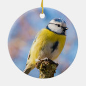 Aangepaste Schattige Blauw Geel Vogel Foto Geperso Keramisch Ornament (Achterkant)