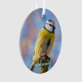 Aangepaste Schattige Blauw Geel Vogel Foto Geperso Ornament (voorkant)