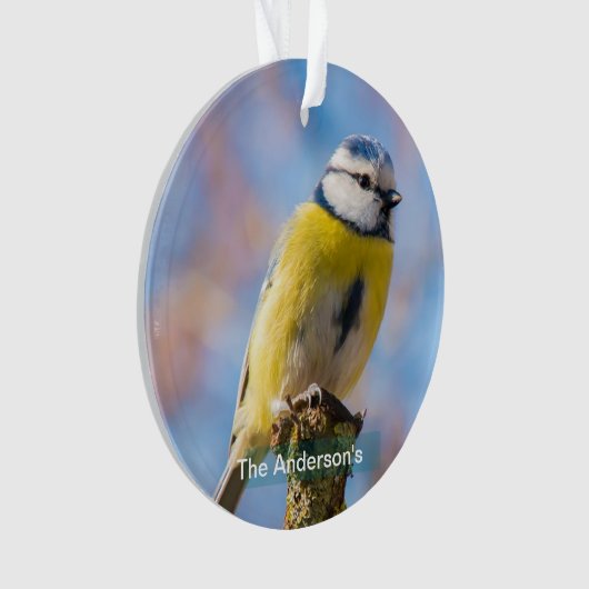 Aangepaste Schattige Blauw Geel Vogel Foto Geperso Ornament (voorkant)