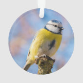 Aangepaste Schattige Blauw Geel Vogel Foto Geperso Ornament (achterkant)