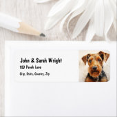 Aangepaste Schattigee Airedale Terrier Dog Adresla Etiket (Insitu)