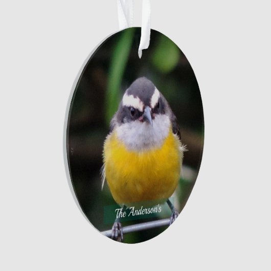 Aangepaste Schattigee gele borstvogel foto geperso Ornament (voorkant)