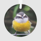 Aangepaste Schattigee gele borstvogel foto geperso Ornament (achterkant)