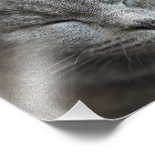 Aangepaste Schattigee Grijs Kat Gezicht Foto Foto Afdruk (Hoek)