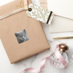 Aangepaste Schattigee Grijs Kat Gezicht Foto Vierkante Sticker